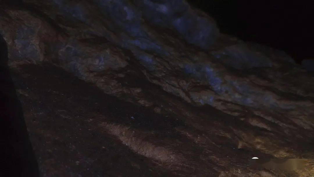 逃离幽灵之森