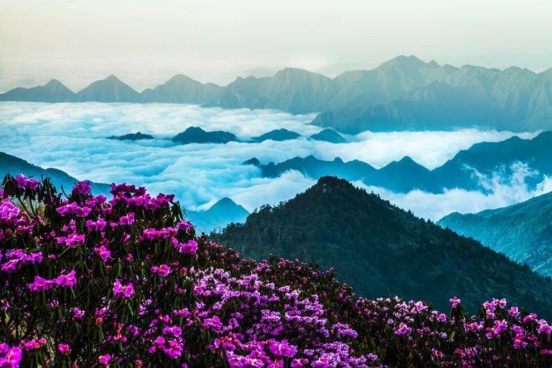 长期睡眠不足有哪些危害？游戏画面